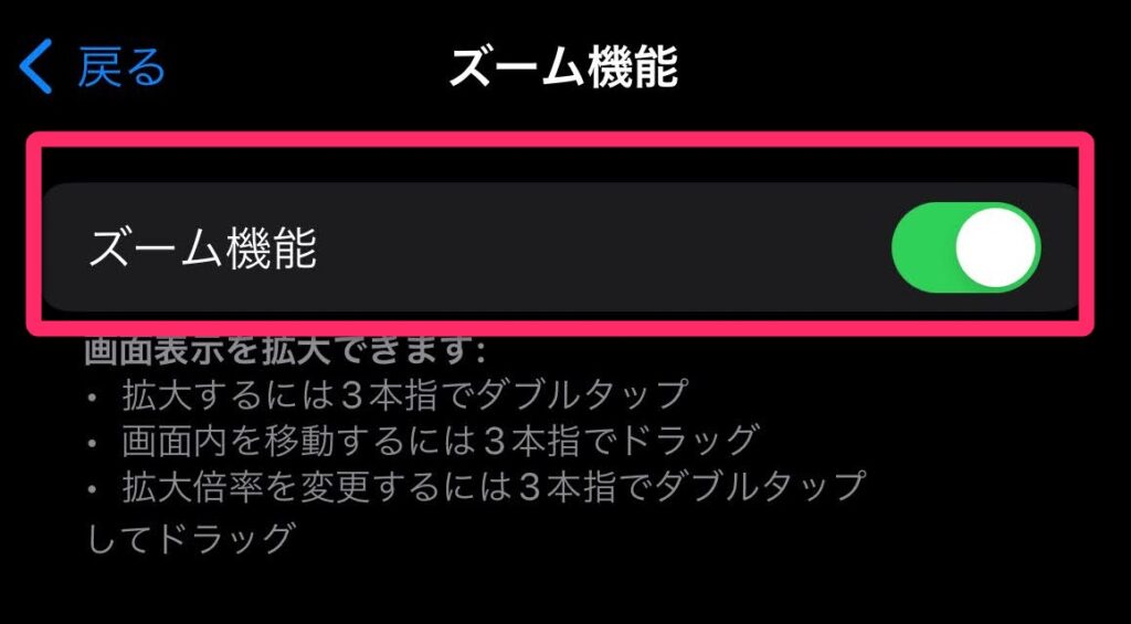 3.「ズーム機能」をオンにします。