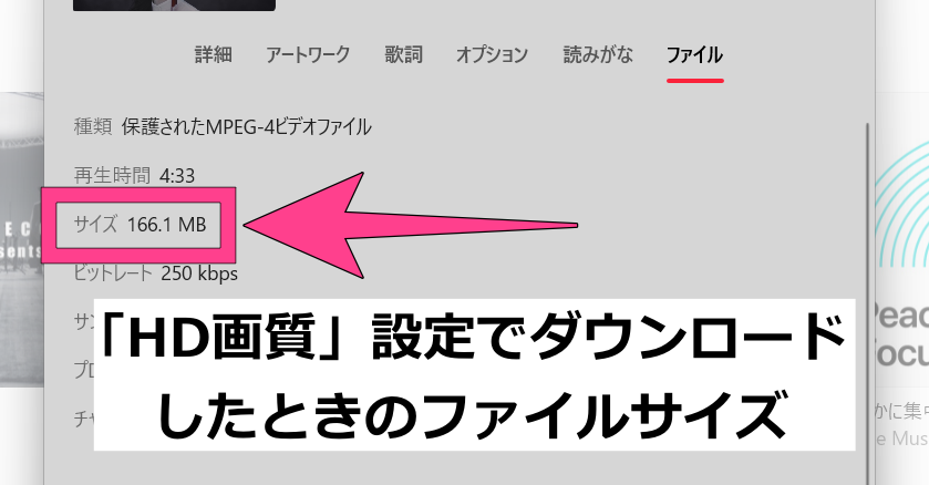 本来HD画質は720pを指すのですが、データ容量から推測すると1080pでDLされているようです。