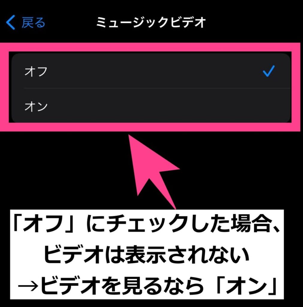 オフの場合はミュージックビデオが表示されなくなるため、「オン」を選びます。