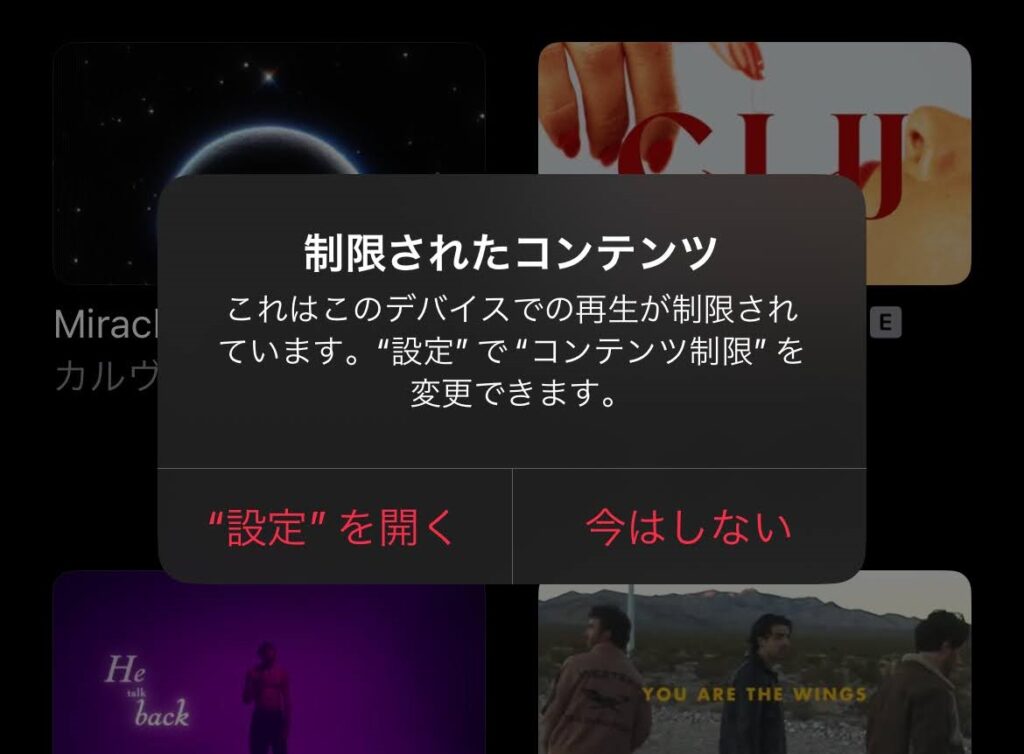 設定で「不適切な内容を含む」コンテンツを制限していると、「E」マークが付いたミュージックビデオが再生できません。