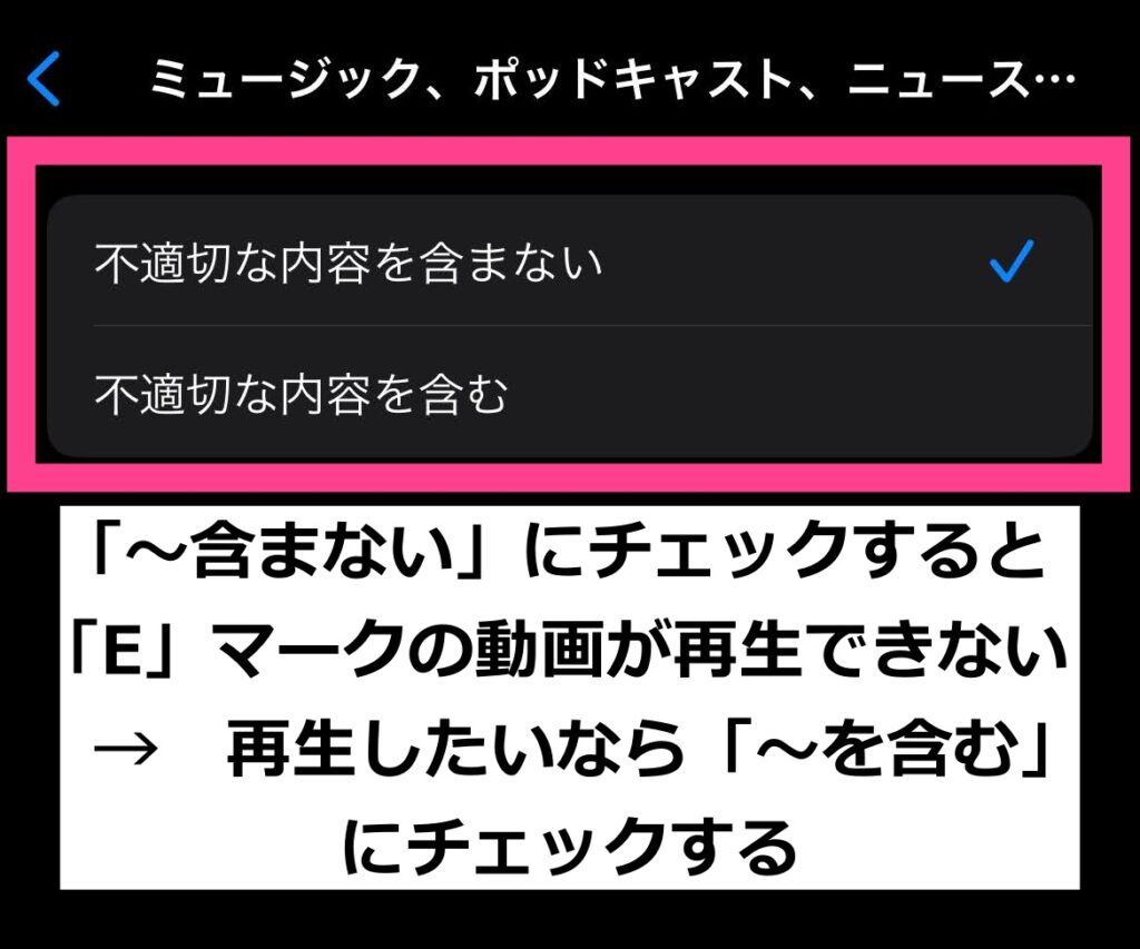 「不適切な内容を含まない」にチェックが入っていると、「E」マークのビデオは再生されません。「不適切な内容を含む」に選択し直しして、再生できるようにしましょう。