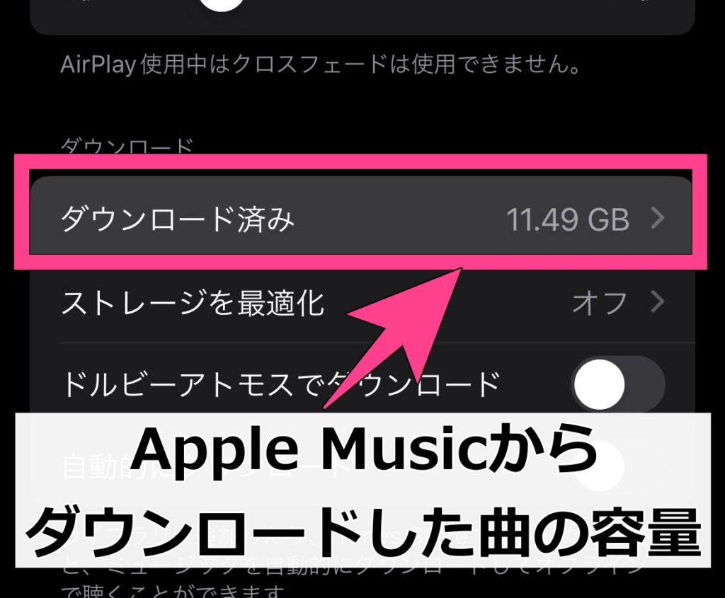 「ダウンロード済み」に表示されているのが、Apple Musicでダウンロードした曲の容量の合計です。